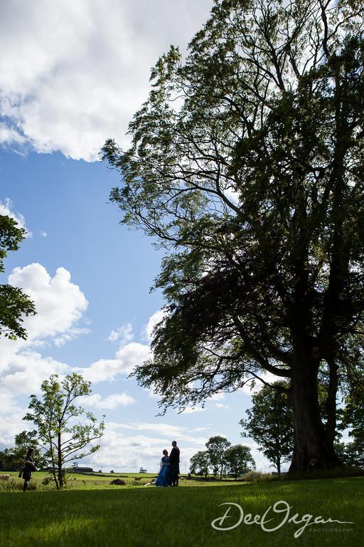 Galway Glamping Hotel Tuam Zewnętrze zdjęcie