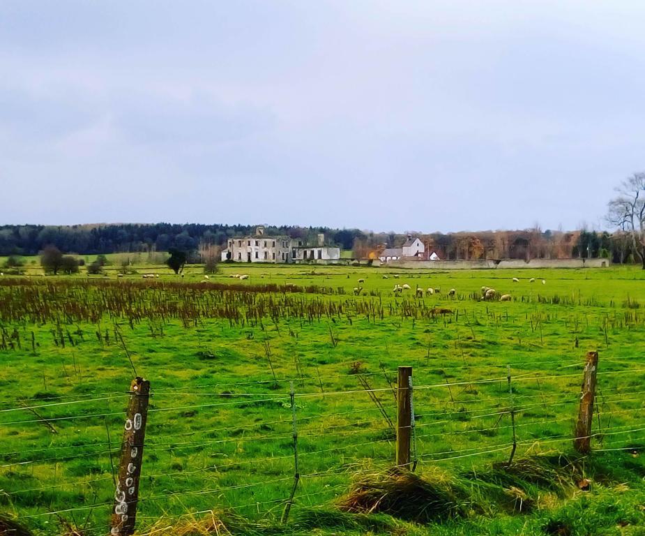 Galway Glamping Hotel Tuam Zewnętrze zdjęcie