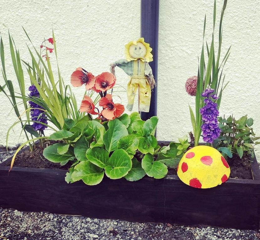 Galway Glamping Hotel Tuam Zewnętrze zdjęcie