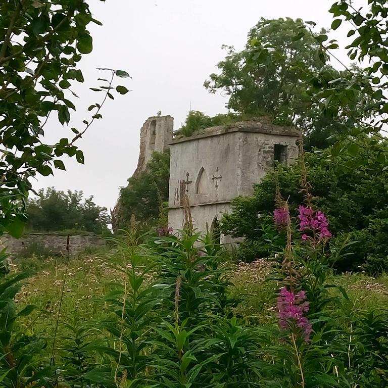 Galway Glamping Hotel Tuam Zewnętrze zdjęcie