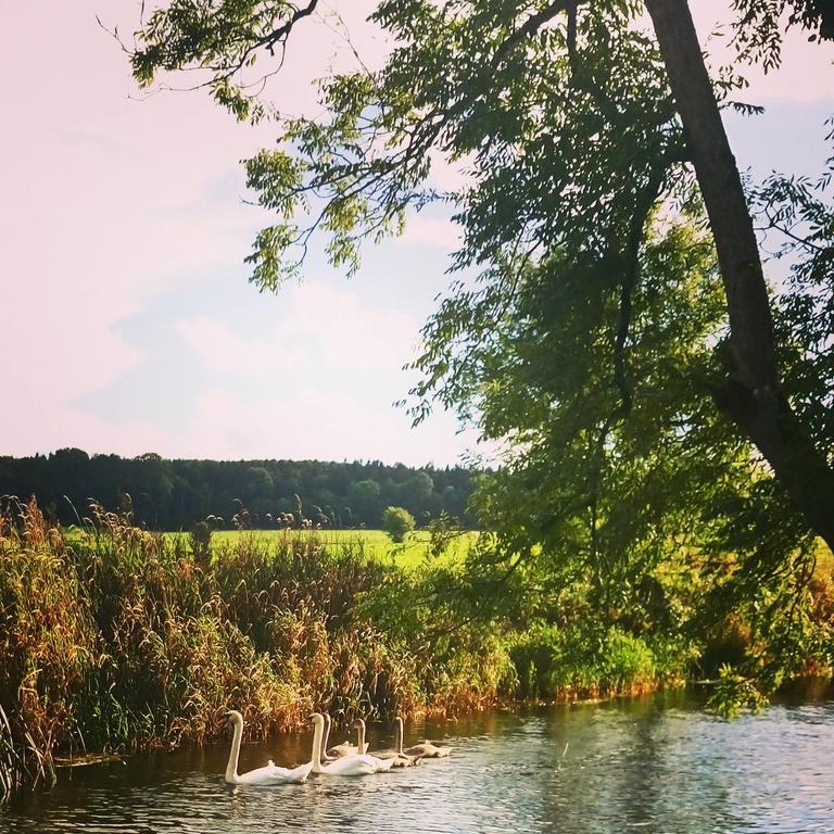 Galway Glamping Hotel Tuam Zewnętrze zdjęcie