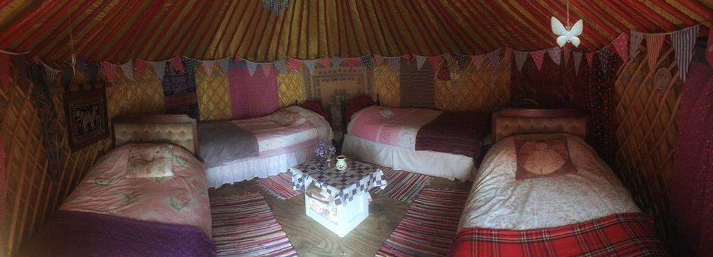 Galway Glamping Hotel Tuam Zewnętrze zdjęcie